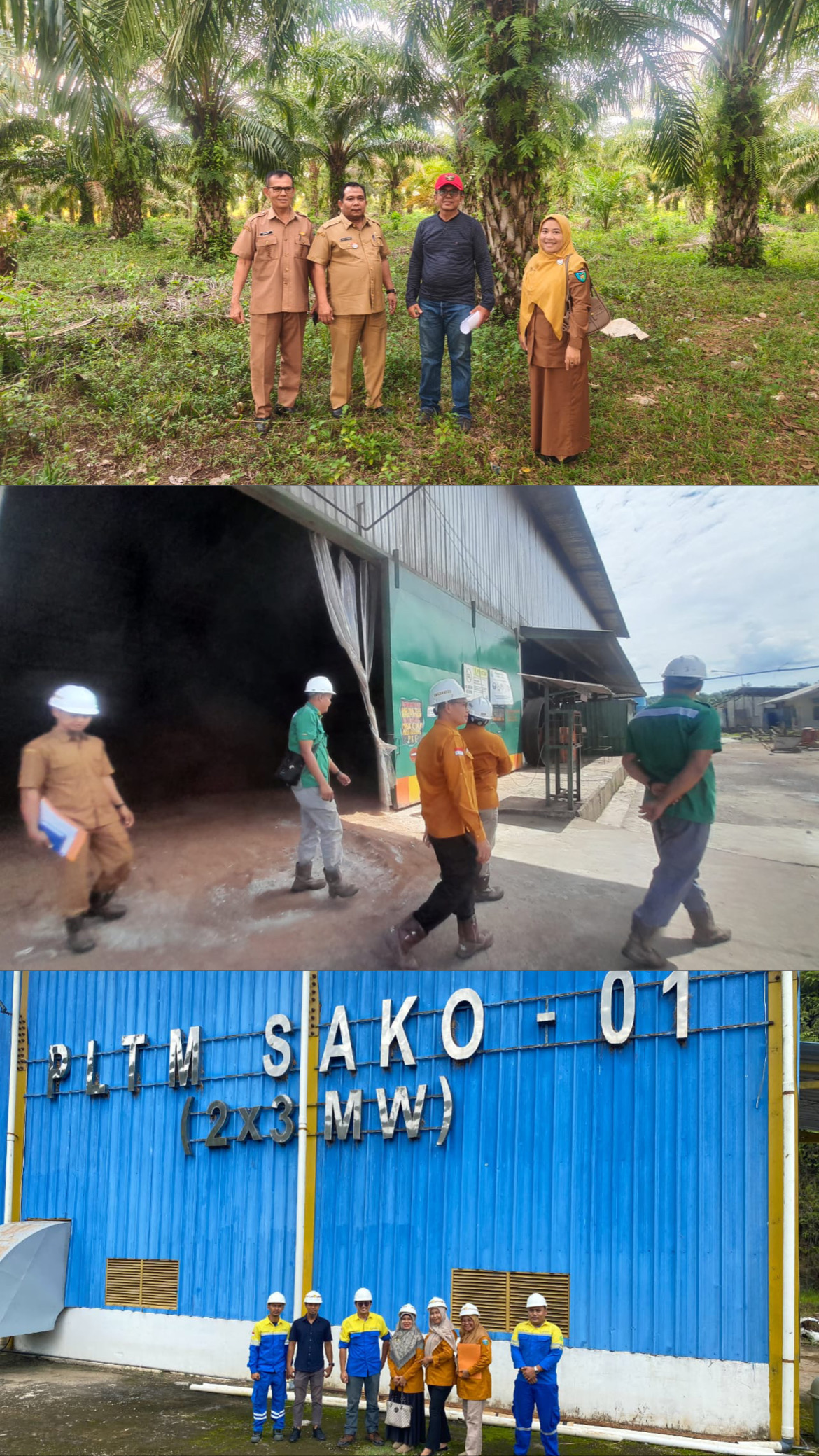 CAPAIAN REALISASI INVESTASI PENANAMAN MODAL KABUPATEN PESISIR SELATAN TAHUN 2025