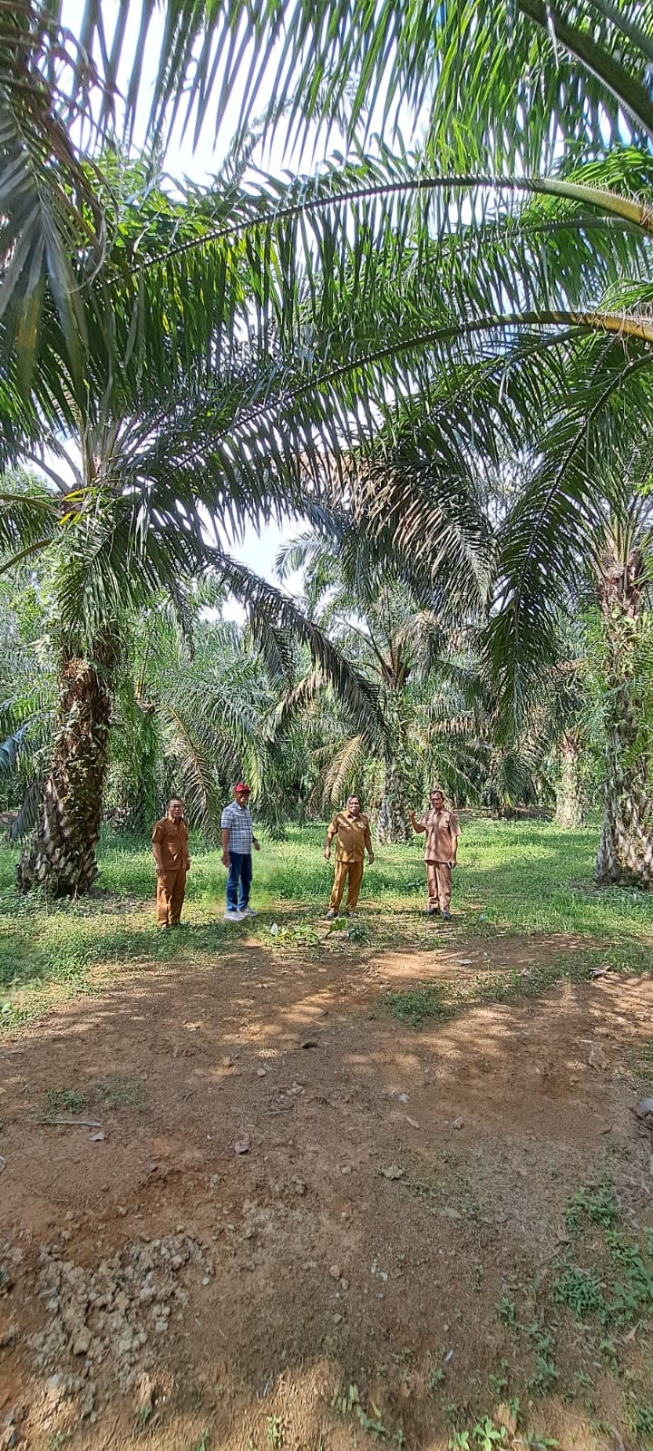 DPMPTSP Melakukan Pengawasan Ke PT.Sukses Jaya Wood di Kec. Lunang