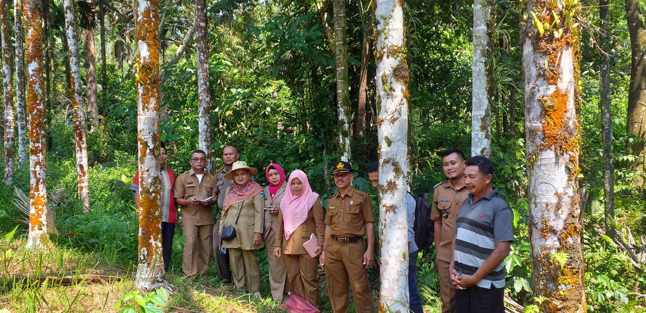 Survey Lokasi WIUP Batu Jetty CV.Pesona Nagari