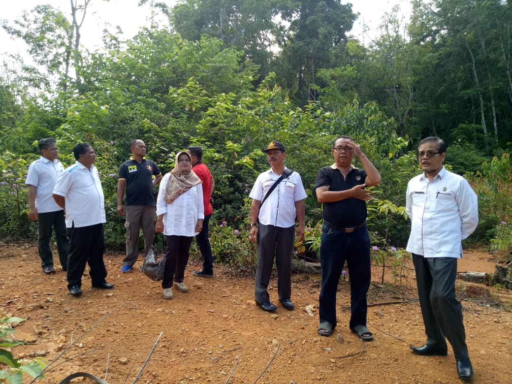 Tim Survei Stone Crusher, AMP dan Batching Plant di Nagari IV Koto Hilir Kec Batang Kapas